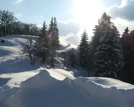 Les Chenes Rouges Apartmán Gérardmer