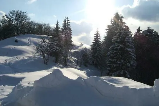Les Chenes Rouges Appartement Gérardmer
