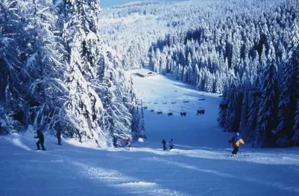 Appartement Les Chenes Rouges