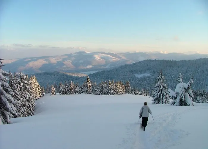 Appartement Les Chenes Rouges