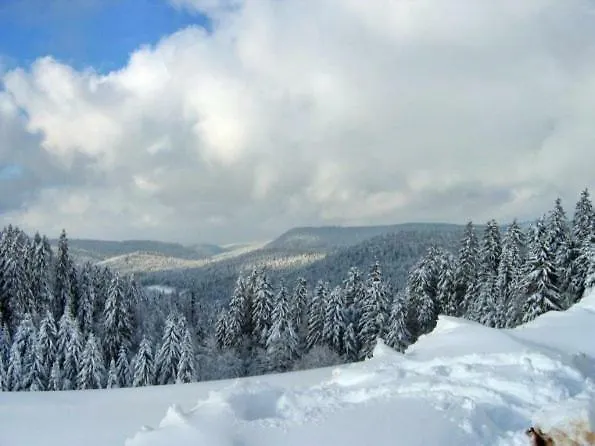 Appartement Les Chenes Rouges Gérardmer